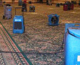 Fans to dry carpet